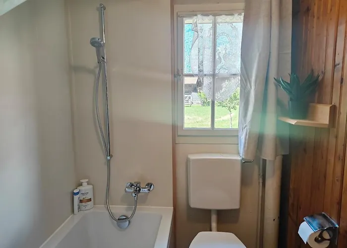 Lejlighed Interlaken House With Harder Kulm View Matten bei Interlaken