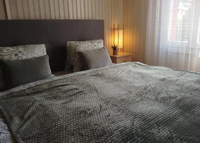 Interlaken House With Harder Kulm View *